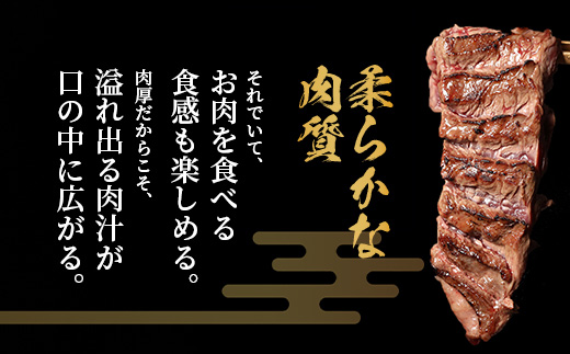 ※12月寄附限定 タン先炭火焼付※厚切り 牛 ハラミ ステーキ 500g×4【2kg】焼肉 ハラミ 焼き肉 はらみ 塩味 牛肉 肉 冷凍 小分け パック キャンプ アウトドア 年内発送 年内配送 年末