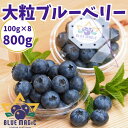 【ふるさと納税】 フレッシュ 大粒ブルーベリー 800 g（100g×8パック） ふるさと納税 ブルーベリー 大粒 特大 フルーツ 果物 くだもの ジャム ヨーグルト チーズケーキ 銚子産 千葉県 銚子 AGRIMOVADO アグリモバード