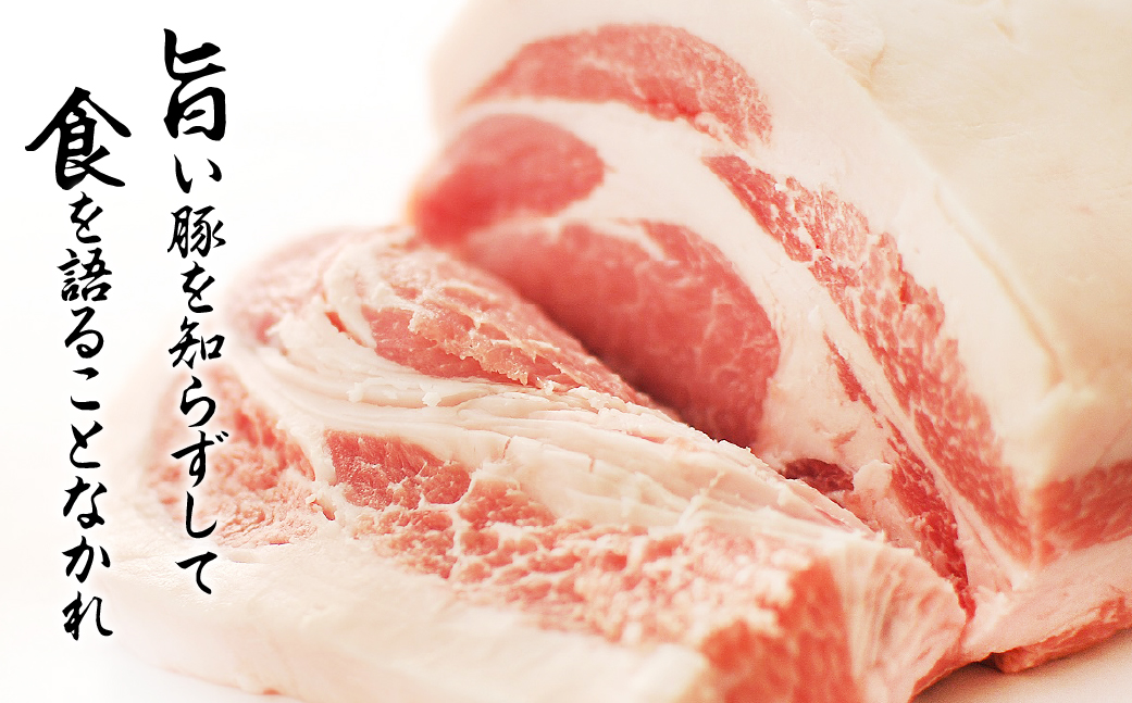 《肩ロース》国産 豚肉 ブロック 1kg 田原ポーク