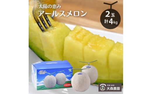 太陽の恵み（アールスメロン）4Lサイズ／2玉　約4kg