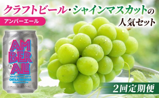 
                  【2回定期便】クラフトビールとシャインマスカットの人気セット（シャインマスカット2房1.1kg以上とクラフトビール アンバーエール（24缶））｜【JA信州うえだ／オラホビール】ぶどう 葡萄 大粒 果物 フルーツ 生食／アンバー 黒ビール 350ml 地ビール 頒布会 長野
                