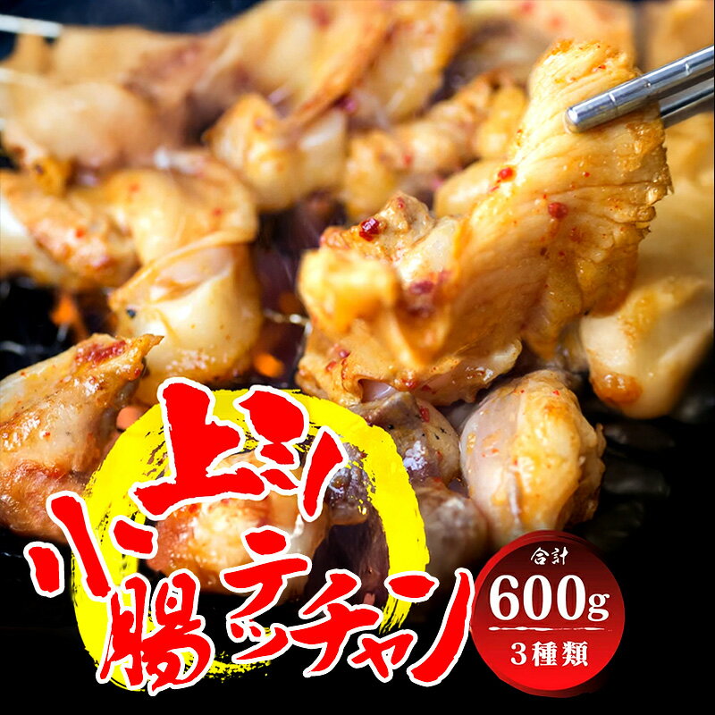 【ふるさと納税】国産牛 ホルモン 食べ比べ 3種セット 600g（小腸・上ミノ・テッチャン 各200g）｜もつ鍋・焼肉用 付属タレ付き 冷蔵 ギフト対応