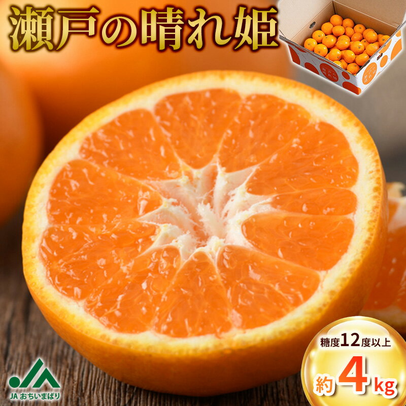 【ふるさと納税】【先行予約】瀬戸の晴れ姫 4kg【KC01230】2026年12月中旬～1月中旬に順次発送予定 愛媛県産 愛媛県 期間限定 はれひめ 果物ふるさと 愛媛みかん 甘いみかん 果物 フルーツ ふるさと納税ミカン ふるさと納税愛媛みかん みかん箱買い JA 【毎年売切れ】