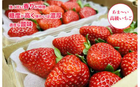いちご 苺 古都華(ことか) 奈良県ブランドいちご 約270g x 4パック 計1080g かたおかの苺 イチゴ いちご 苺 古都華 果物 フルーツ ブランド  ストロベリー