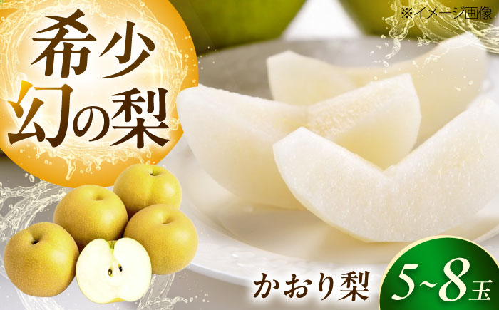 上岡果樹園のかおり梨 5～8玉入り 〈2026年9月～発送〉 ／ フルーツ 果物 くだもの 食品 人気 おすすめ 送料無料 梨 なし かおり梨 季節のフルーツ 【株式会社内子フレッシュパークからり】 [BKAD057]