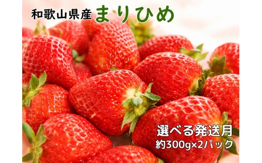 
                  和歌山県産ブランド いちご「まりひめ」約300g×2パック入り ※2027年1月中旬～2027年2月下旬ごろ発送予定（お届け日指定不可） ※北海道・沖縄・離島配送不可【tec500-r-300x2-jf】
                