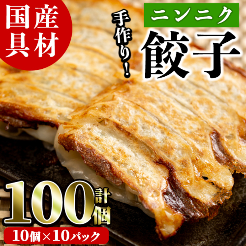 国産豚肉使用！手作りニンニク餃子(計100個・10個×10パック)国産 ギョウザ ぎょうざ お肉 にんにく おかず 惣菜 おつまみ【スーパーよしだ】a-12-113