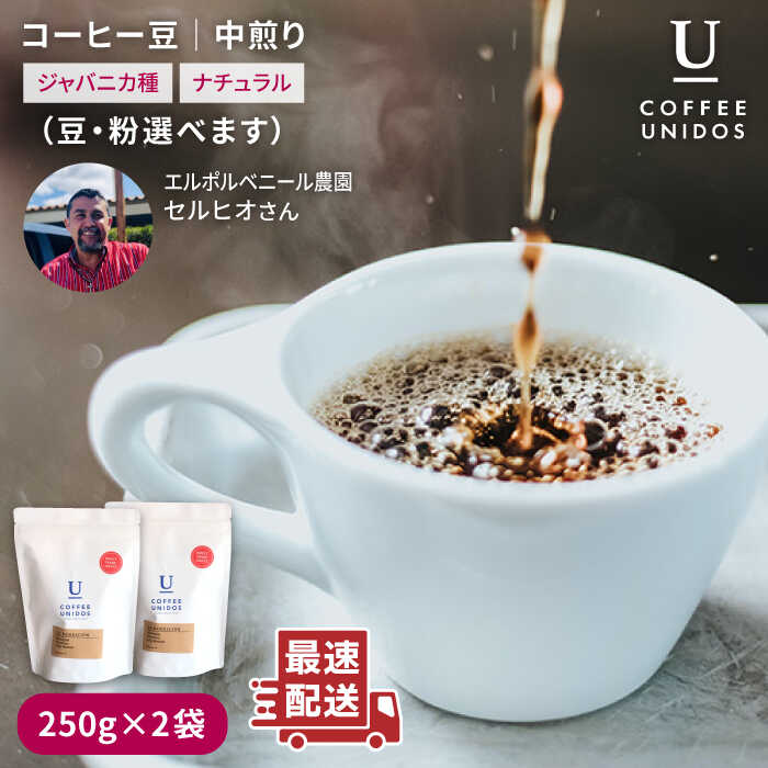 【ふるさと納税】中煎りコーヒー豆250g×2袋 (豆・粉選べます) ニカラグア産エルポルベニール農園ジャバニカ種ナチュラル《糸島市》【COFFEE UNIDOS】珈琲/カフェ/コーヒー粉 [AQF005] 15000円 常温