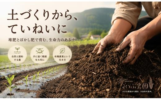 【令８年７月７日迄受付】信濃町直送！みつぶ農園の朝採れヤングコーン 20本（ひげ付き・クール便）