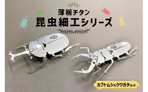 薄板チタン昆虫細工シリーズ（クワガタ＆カブトムシ セット）　【 岐阜県 可児市 雑貨 インテリア クワガタ おしゃれ 綺麗 精密加工 芸術 アート 高級素材 チタン 昆虫細工 木箱 】