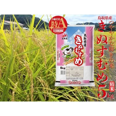 ふるさと納税 湯梨浜町 鳥取県産きぬむすめ◇精米5kg◇令和7年産(46M.)