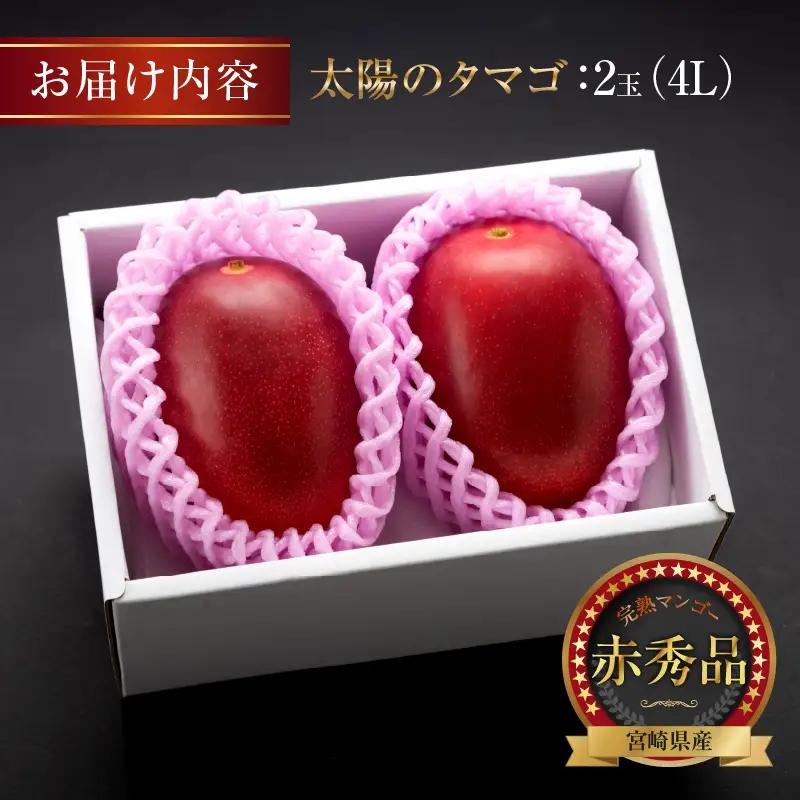 オンライン決済限定 完熟マンゴー 太陽のタマゴ 赤秀品 4L × 2玉 期間限定 数量限定 マンゴー 宮崎 フルーツ 果物 くだもの 国産 食品 先行予約 2026 令和8年発送 濃厚 デザート おや