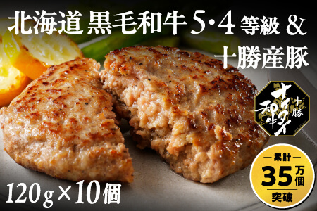 和牛 5・4等級 十勝ナイタイ和牛 ビーフ&ポークハンバーグ＜120g×10個＞ 本物志向の冷凍牛肉ハンバーグ　北海道産 オレイン酸55%以上含有の十勝産の黒毛和牛使用ハンバーグ