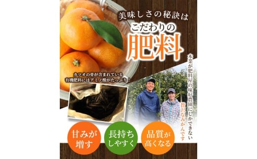  [和歌山県産] 旬をお届け！ 季節の「 温州 みかん 」 1kg ※箱込み 秀品【贈答用】 (極早生・早生・中生・晩稲)【S~2Lサイズおまかせ】【2025年10月中旬～2026年2月下旬までに順次