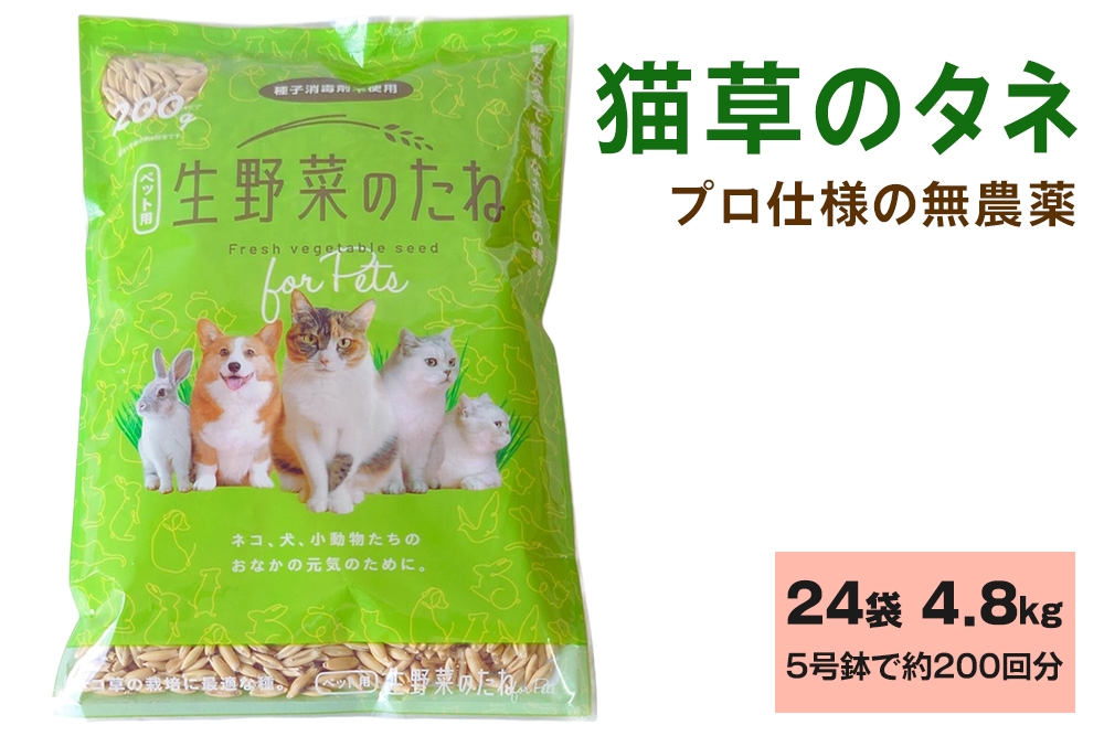 
                  プロ仕様の 無農薬 猫草のタネ 24袋 計4.8kg (5号鉢で約200回分)｜猫草 まとめ買い ペット用生野菜のタネ 24袋 お得セット ペットグラス 種 無農薬種子 [1215]
                