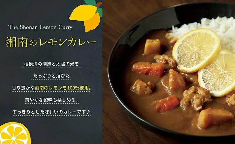 【100％湘南のレモン果汁を使ったカレー10食セット】相模湾の太陽と潮風が育んだ爽やかな味わいを、お手軽に楽しめます！！【 カレー 神奈川県 小田原市 カレー】