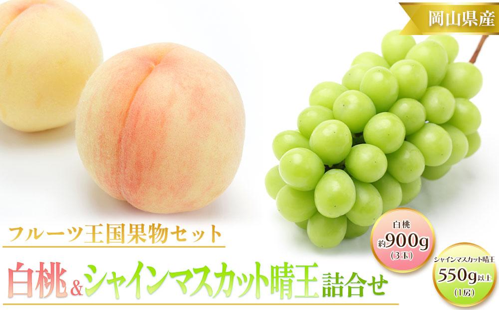 桃 ぶどう 2025年 先行予約 白桃 3玉 合計約900g （1玉約300g） シャインマスカット 晴王 1房 550g以上 もも 葡萄 詰合せ 岡山 国産 フルーツ 果物 ギフト 桃茂実苑
