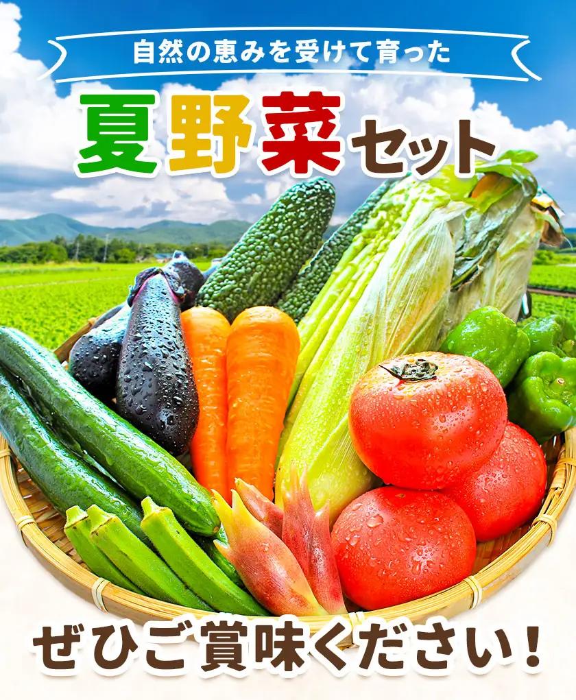 旬 の 夏野菜 セット 3～5種類  浦西自然農園 野菜