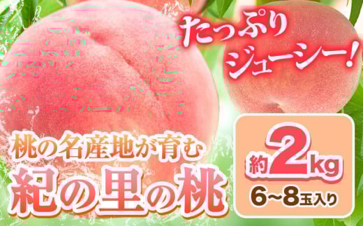 【2026年出荷分先行予約】あふれる果汁で口いっぱい！甘くてジューシーな桃 和歌山県産 紀の里の桃 約2kg (6〜8玉) 《2026年6月中旬-8月中旬頃出荷》  紀の里の桃 送料無料 6～8玉入り 旬の桃を厳選 モモ 果物 フルーツ お取り寄せ 和歌山 送料無料  白鳳 日川白鳳  なつっこ 清水白桃 川中島白桃  八旗白桃 ギフト 果物 くだもの フルーツ お取り寄せ