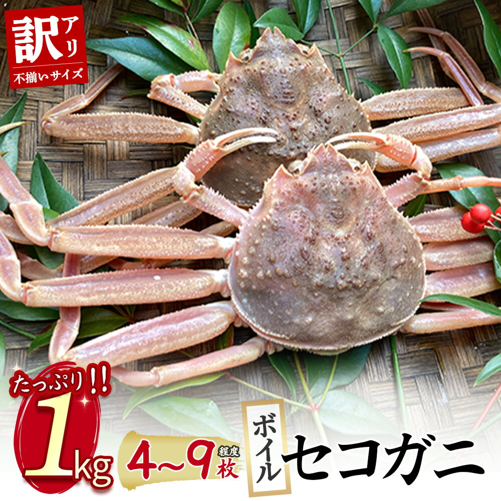 【ふるさと納税】今だけ限定価格！【11月より値上げ】【魚倉】（ボイル）不揃いサイズ 訳ありたっぷり 1kgセット セコガニ （親ガニ、せいこがに） ボイル ズワイガニ 訳あり 冷蔵 わけあり かにしゃぶ 鮮度抜群 国産 高級 限定価格 限定寄付額 値上対象 鳥取県 倉吉市