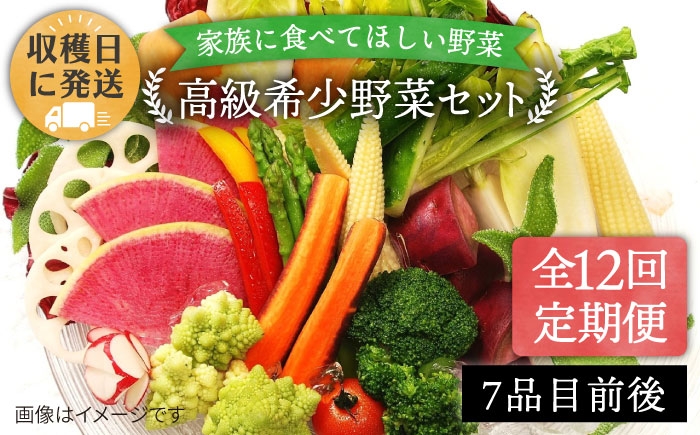 
                  【 全12回 定期便 】【 農薬・化学肥料 不使用 】こだわり 高級希少野菜 セット （ 7品 前後 ） 《糸島》【オーガニックナガミツファーム】 	[AGE018]
                