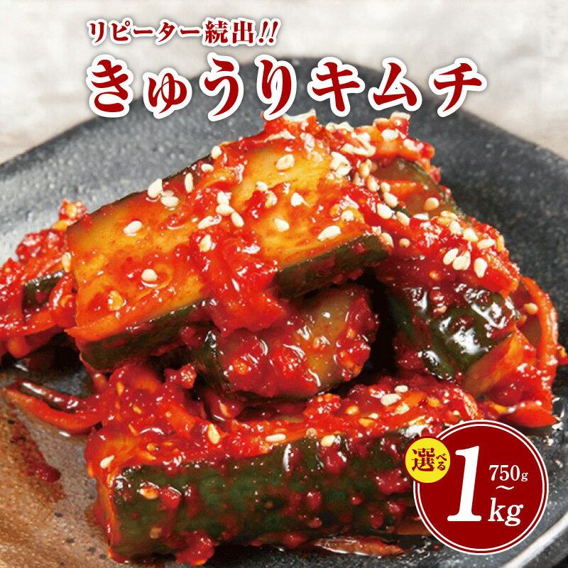 【ふるさと納税】リピーター続出！こだわりきゅうりキムチ 750g / 1kg