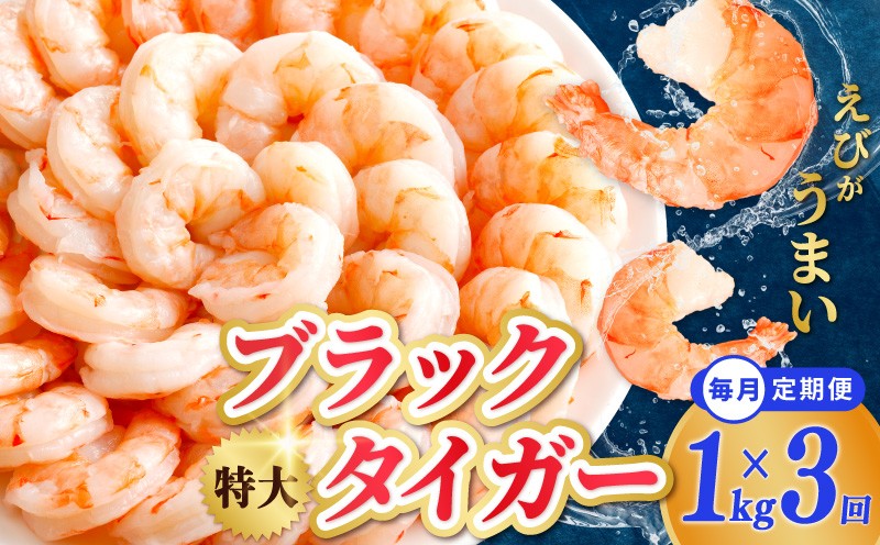 
                  【チョイス限定】高級むきえび 定期便 1kg×全3回 ブラックタイガー エビ えび 海老 30-40尾 特大 背ワタなし【毎月配送コース】
                