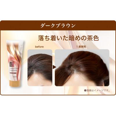 ふるさと納税 稲沢市 ダリヤ　サロン　ド　プロ　ドレッシーカラートリートメント《ダークブラウン》3個セット |  | 02