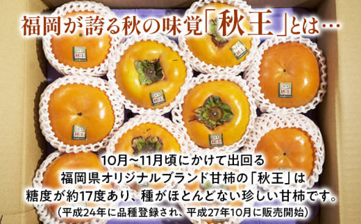 《先行予約》期間限定 福岡県産ブランド柿「秋王」  約3kg（8-12玉）返礼品 お取り寄せグルメ お取り寄せ グルメ かき カキ 果物 フルーツ 南国フルーツ CO012 約3kg（8-12玉）