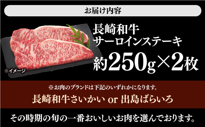 長崎和牛 サーロイン ステーキ 計500g（2枚） 訳あり ＜大西海ファーム食肉加工センター＞[CEK178]