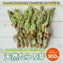 【ふるさと納税】天然たらの芽 約300g おまけの山菜1種付き 4月上旬～4月下旬頃お届け 冷蔵便 ※着日指定・離島発送不可 タラの芽 東北 山形県 遊佐町 庄内 野菜 天ぷら 自然 採れたて 春 旬 山菜