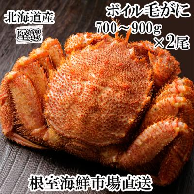 ふるさと納税 根室市 ボイル毛がに700〜900g×2尾(堅蟹) D-11054