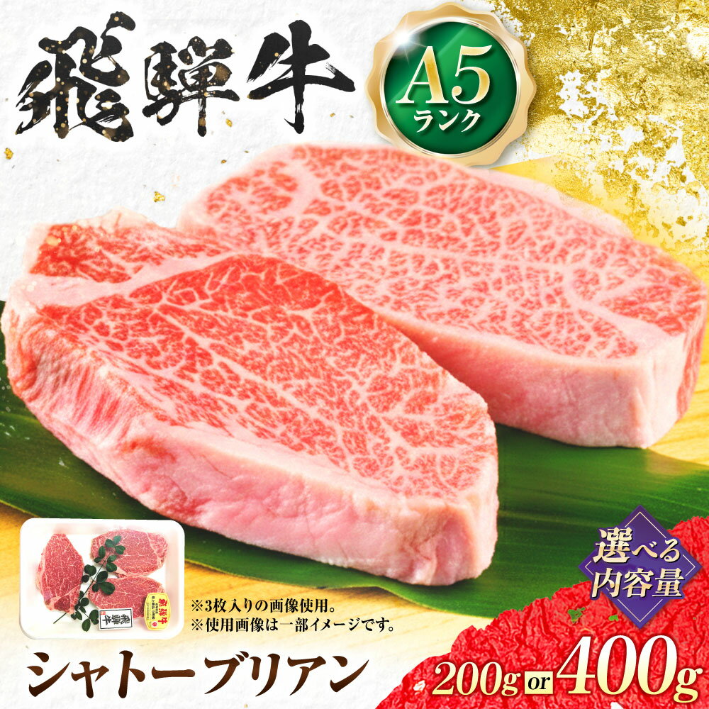 【ふるさと納税】【選べる容量】 飛騨牛 A5等級 シャトーブリアンステーキ ／ シャトー シャトーブリアン ステーキ 最高級 A5 和牛 ヒレ フィレ 希少部位 霜降り 高級肉 ヒレ肉 フィレ肉 お祝い 誕生日 ブランド牛 牛肉 お肉 高級 贈答 ギフト 岐阜市 / 肉の松久[ANIP019]