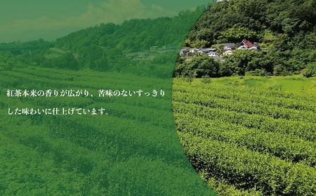 村茶季園　甲斐亀沢（紅茶）ティーバッグ　20袋入　CS-6　農薬不使用　化学肥料不使用