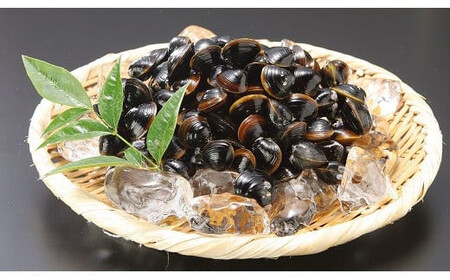 ぷっくり大きな身！食べて美味しい！神西湖産大和しじみ【1-019】