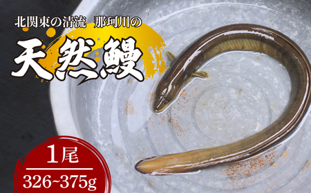 うなぎ 天然鰻 北関東の清流「那珂川産」 真空冷凍 1尾 326～375g | うなぎ うなぎ うなぎ うなぎ うなぎ
