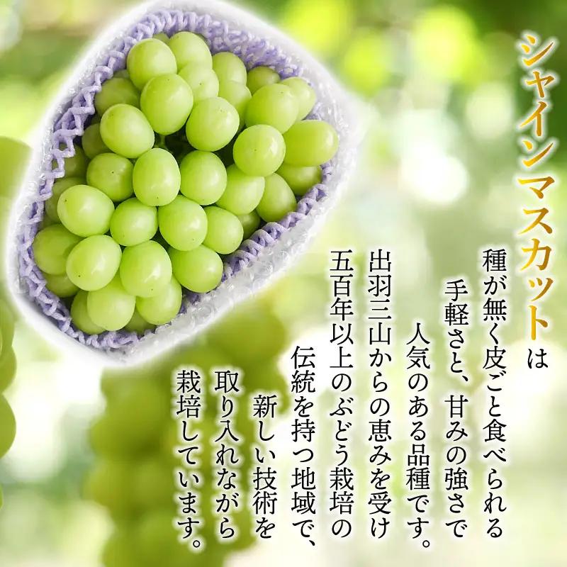 【令和8年産先行予約】シャインマスカット 約700g　丸果庄内青果