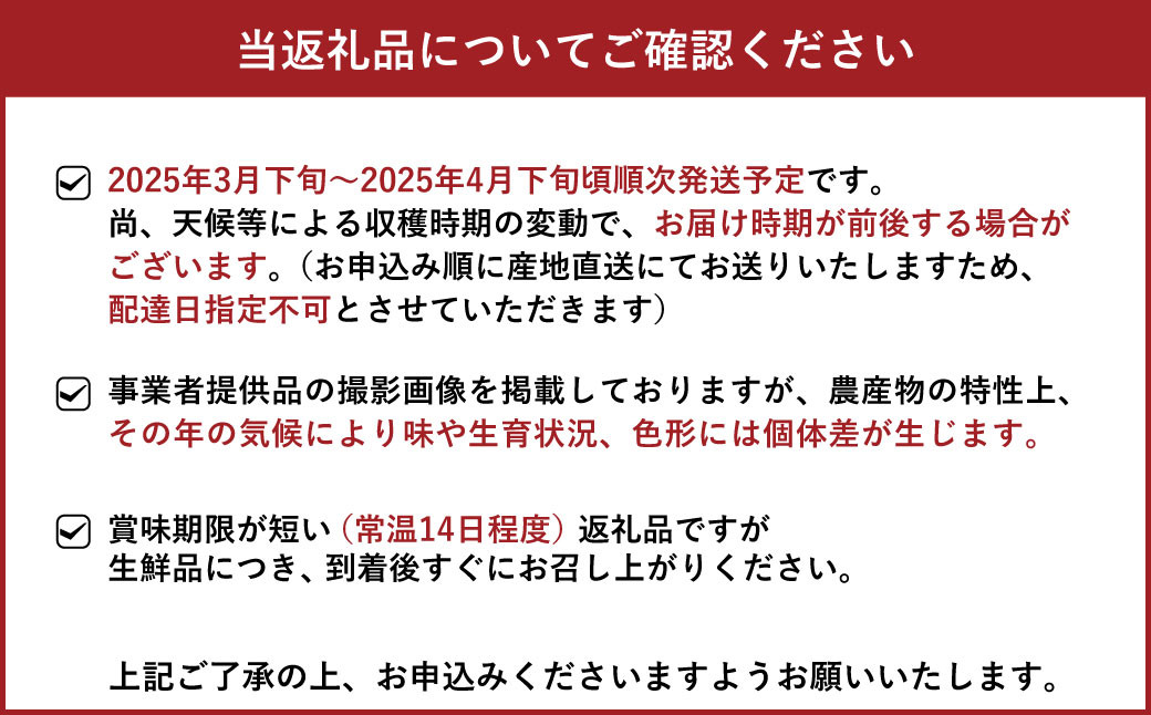 【訳あり】海沿い育ちの 爽やか 河内晩柑 約7kg（14～25玉）晩柑【2025年3月下旬～4月下旬発送予定】【河野柑橘園】ばんかん かわちばんかん