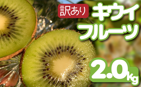 【12月上旬~順次発送】 訳あり キウイフルーツ 2kg  腸活 グリーンキウイ 健康 甘い キウイ フルーツ 無選別 みつばちキウイ 規格外 デザート 果物 くだもの 国産 愛知県 南知多町 【配送不可地域：北海道 青森 秋田 岩手 沖縄 離島】