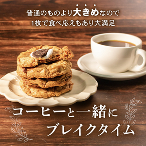 季節限定 焼き菓子 詰め合わせ 10枚 個包装 スイーツ クッキー缶 クッキーボックス アソート セット チャンククッキー サブレ 洋菓子 焼き菓子 お菓子 焼菓子 おやつ プレゼント ギフト お取り
