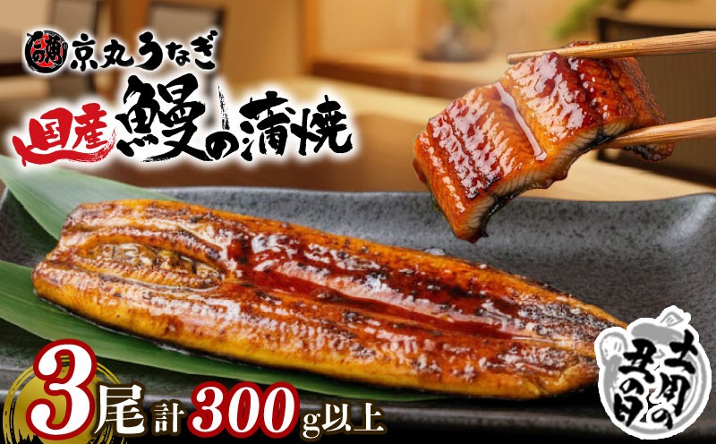 
                  【 土用丑の日 対応】うなぎ 蒲焼 国産 3尾 計約300g以上 静岡 うなぎ処京丸 うなぎ 蒲焼き unagi 鰻 ウナギ 国産うなぎ 国産鰻 国産ウナギ かば焼き 鰻蒲焼 うなぎ蒲焼き うな重 冷凍 土用 丑の日 人気 高級 個包装 小分け ギフト プレゼント おすすめ ランキング おいしい 沼津
                