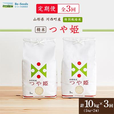 ふるさと納税 川西町 【毎月定期便】山形県産特別栽培米「つや姫」10kg(5kg×2袋)全3回