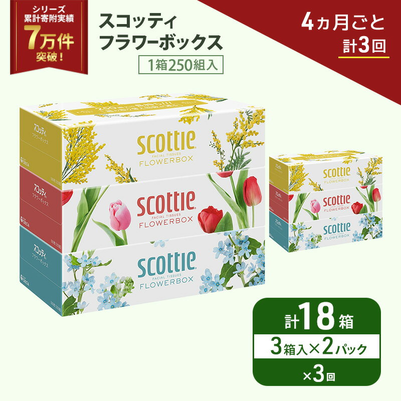 【ふるさと納税】 定期便 ティッシュ 3箱×2P (4ヶ月ごと計3回) スコッティ フラワーボックス 日本製 長持ち 日用品 生活用品 必需品 消耗品 便利 楽 コンパクト 防災 備蓄 備え 安心 送料無料 累計寄附実績7万9千件超 宮城県 岩沼市