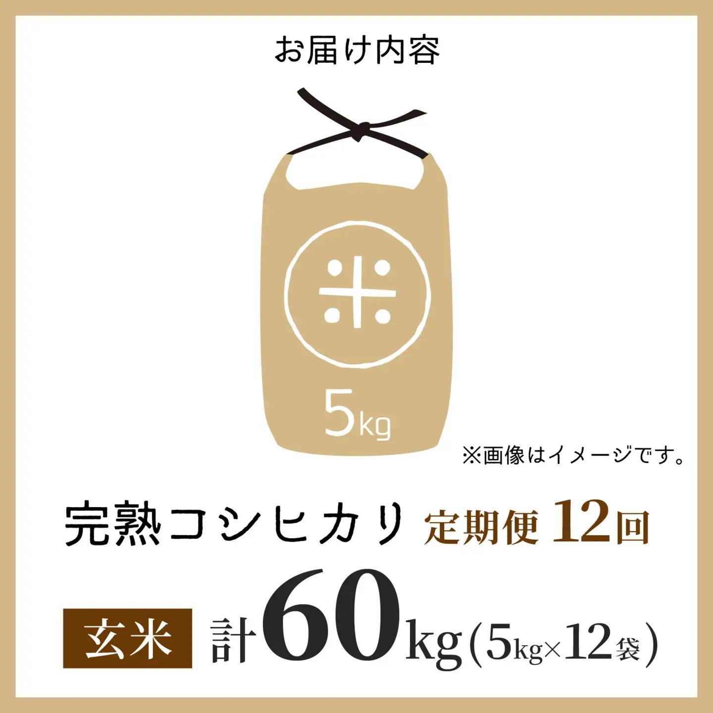 【先行予約】【令和8年産 新米】【12ヶ月定期便】くらもち完熟米 コシヒカリ 玄米 5kg×12回　計60kg