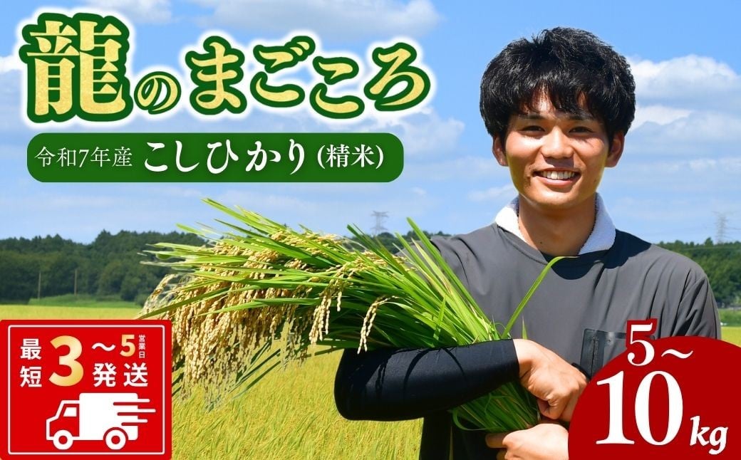 
                  龍ケ崎のコシヒカリ 選べる種類 5～10kg【令和7年産】 ❙ こしひかり お米 米 こめ コシヒカリ 白米 精米  冷めてもおいしい 美味しい こだわり いばらきみどり認定 おにぎり 茨城県 龍ケ崎市産
                