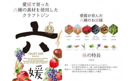 水口酒造 道後ジン「六媛」200ml