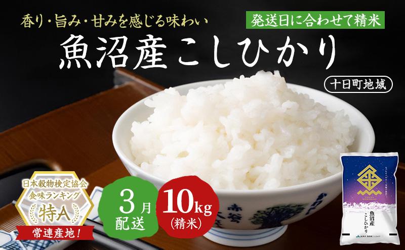 【令和7年産米】魚沼産こしひかり(十日町地域) 精米 10kg(5kg×2) 3月配送 お米 精米 こめ ご飯 白米 旧：五郎兵衛