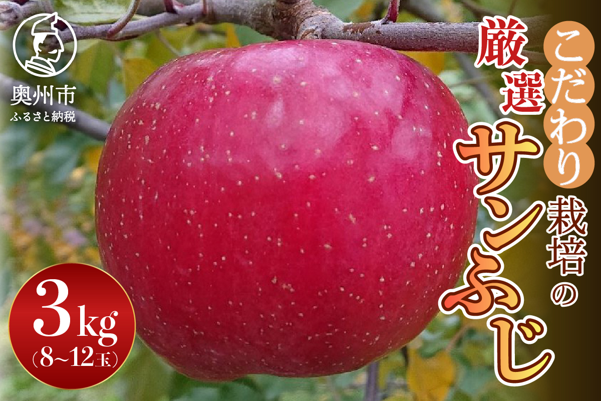 【スターファーム】 こだわり栽培の サンふじ 厳選品 約3kg 岩手県奥州市産りんご 産地直送 [AY004]