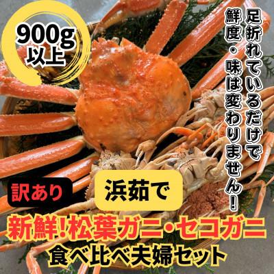 ふるさと納税 岩美町 鳥取網代港【訳あり】浜茹で!松葉ガニ1枚(900g以上)・セコガニ3枚セット【さかなや新鮮組】