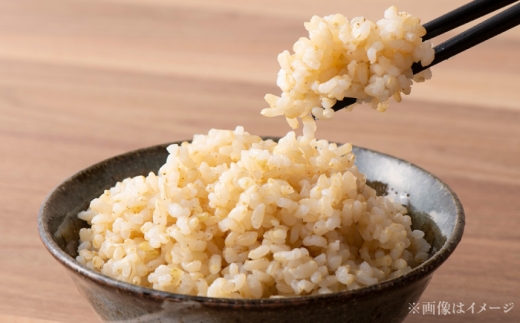 【令和8年産】【新米】【3回定期便】農家直送！特別栽培米ゆめぴりか【玄米】5kg 特A 北海道 米 お米 こめ JGAP認証農場 | 株式会社きしもとファーム [BOBB048]